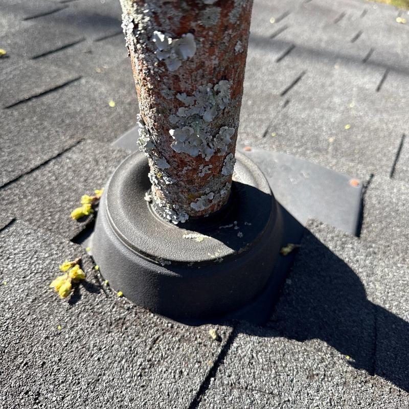Roof pipe flashing seal with lichen on pipe