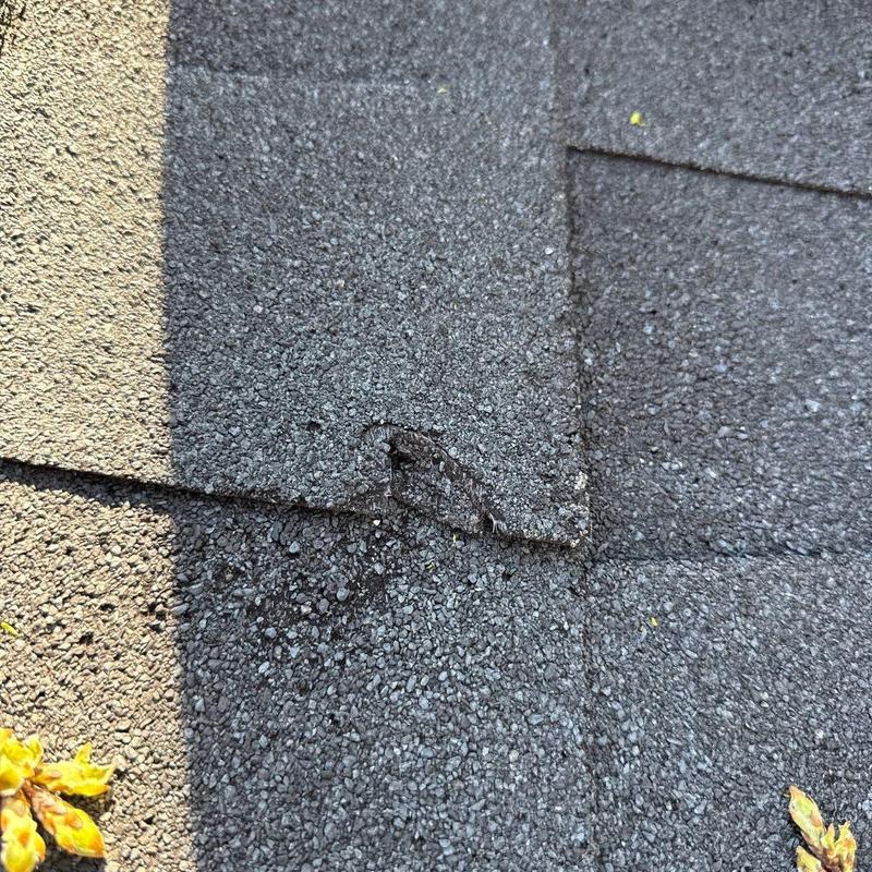 Asphalt shingle with hail damage close-up on roof