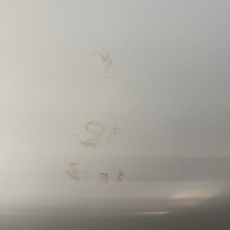 Ceiling drywall with water damage and stains