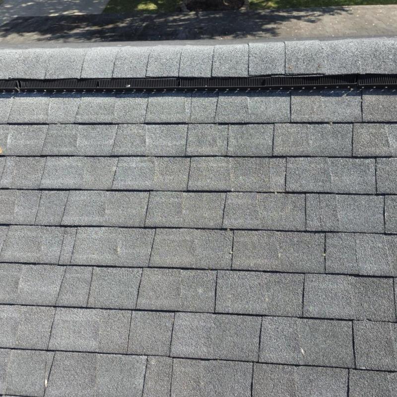 Asphalt shingle roof with visible hail damage and granule loss