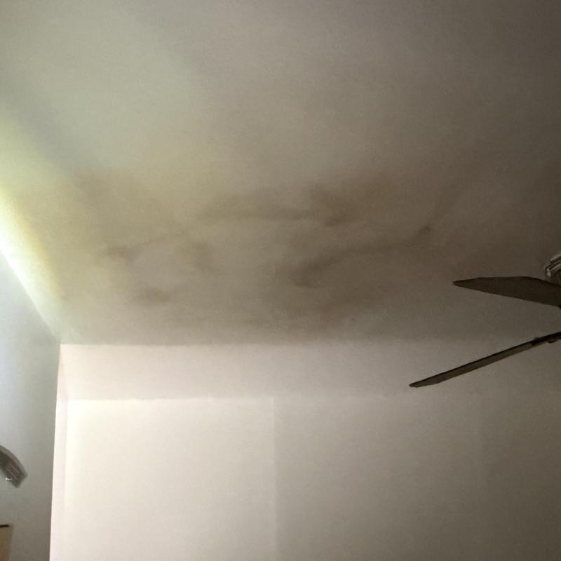 Ceiling water damage stains with ceiling fan blades visible