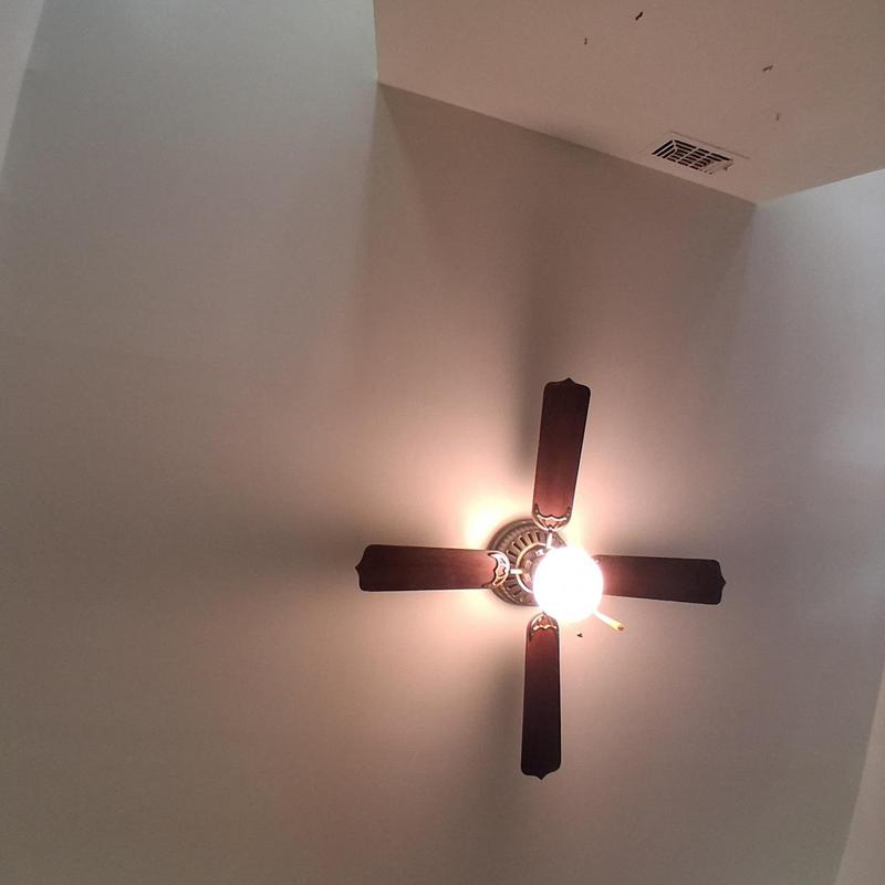 Ceiling fan with light fixture on painted ceiling