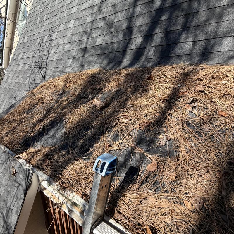 Gutter filled with pine needles and debris on roof edge