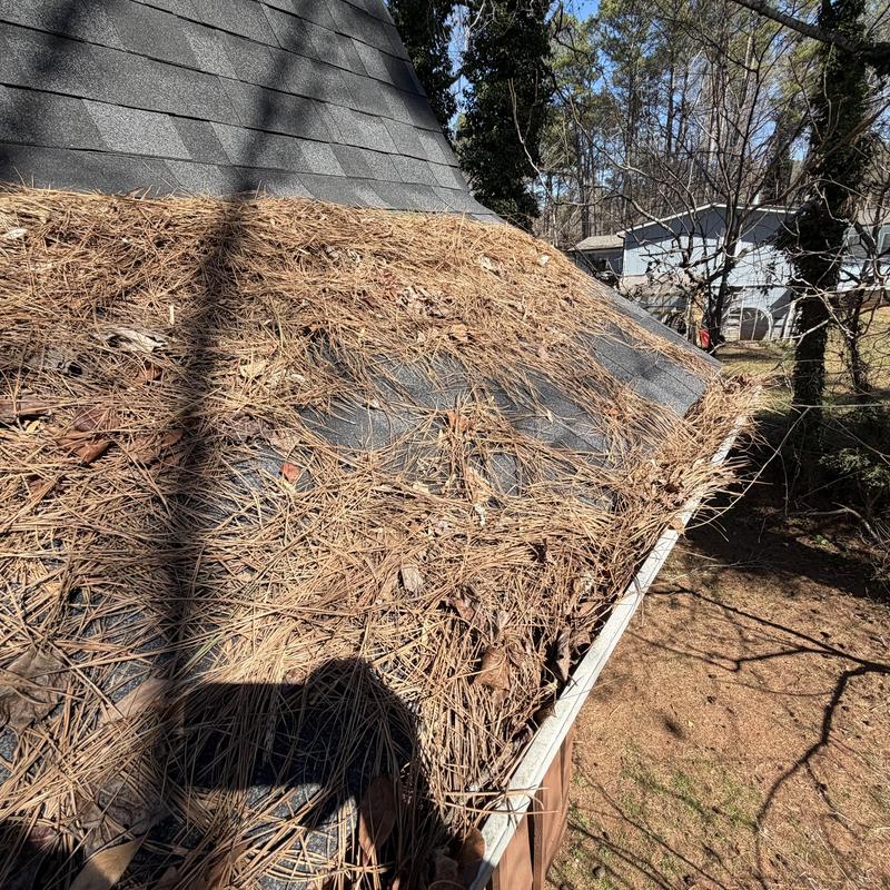 Gutters clogged with pine needles and debris on roof edge