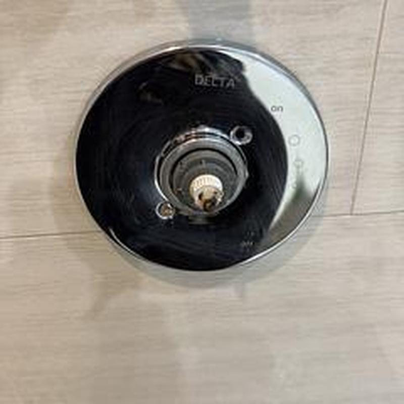 Delta shower cartridge flush and sediment removal