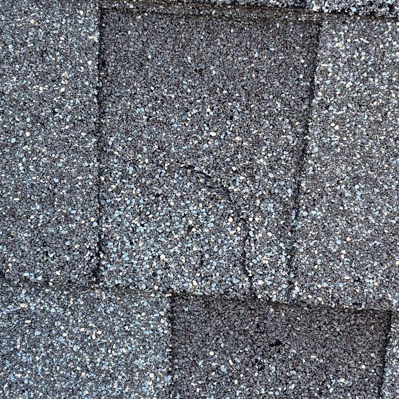 Asphalt shingles close-up showing surface damage and granule loss Asphalt shingles close-up showing surface damage and granule loss