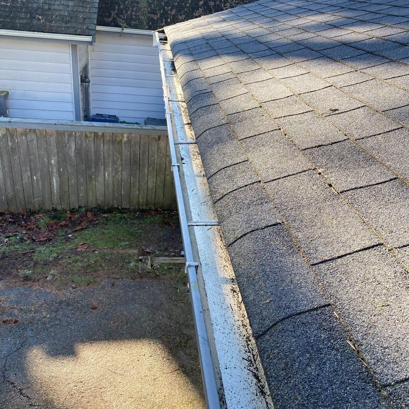 Roof shingles and gutter edge with light debris