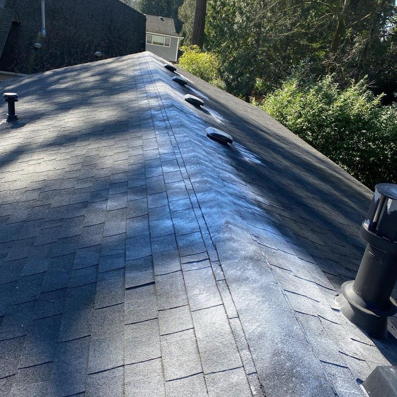 Asphalt shingle roof with moss treatment in Kirkland