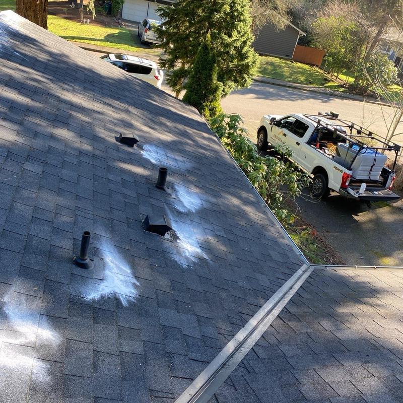 Asphalt shingle roof with moss treatment spots