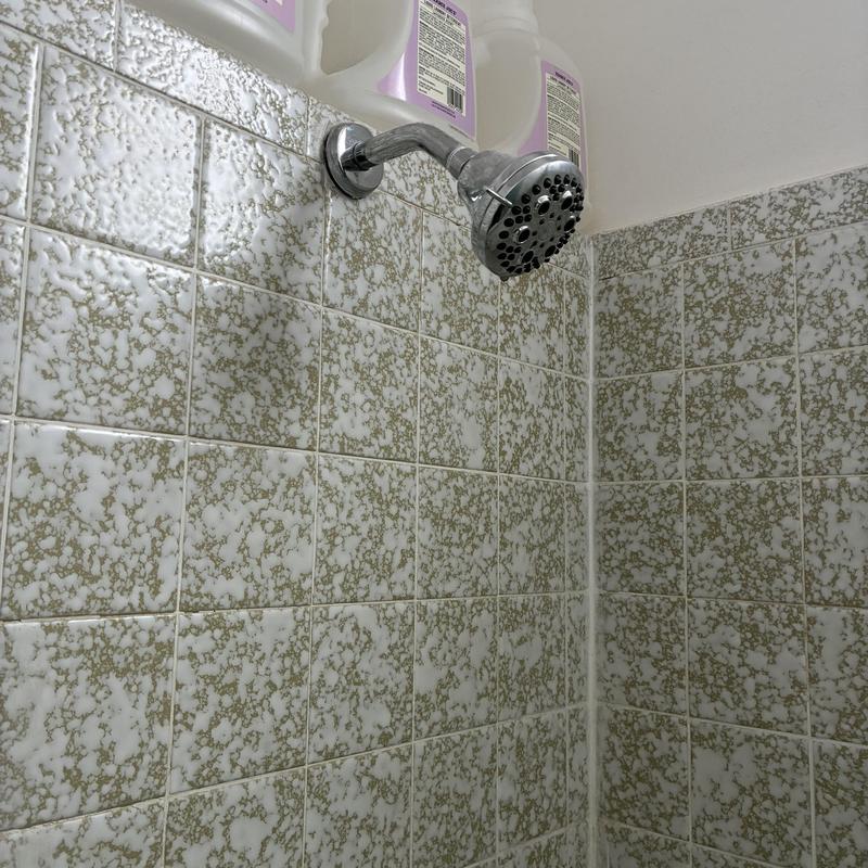 Shower head and diverter gasket replacement in shower