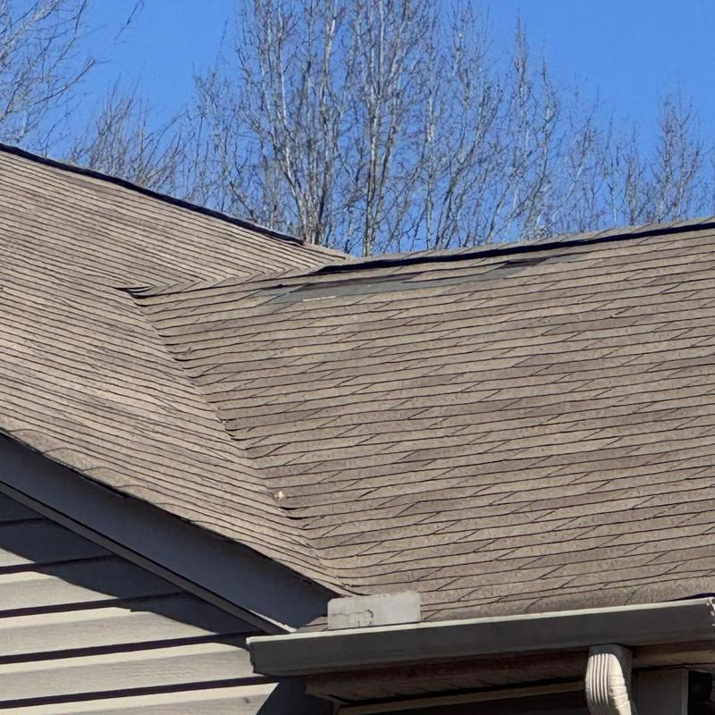 Asphalt shingle roof with lifted and damaged shingles Asphalt shingle roof with lifted and damaged shingles