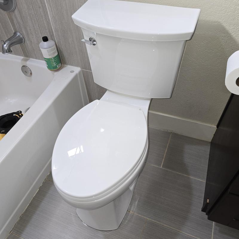 Kohler toilet installation with closet flange repair