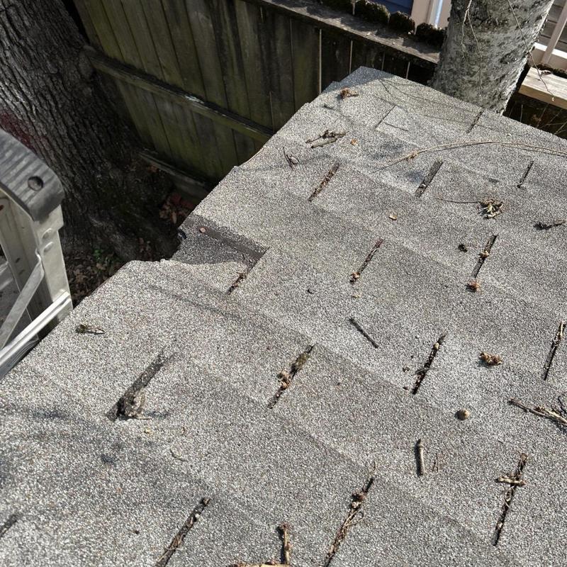 Asphalt shingle roof with damaged and lifted shingles