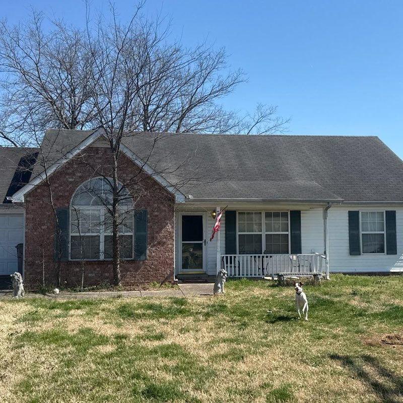 Asphalt shingle roof with hail damage in La Vergne