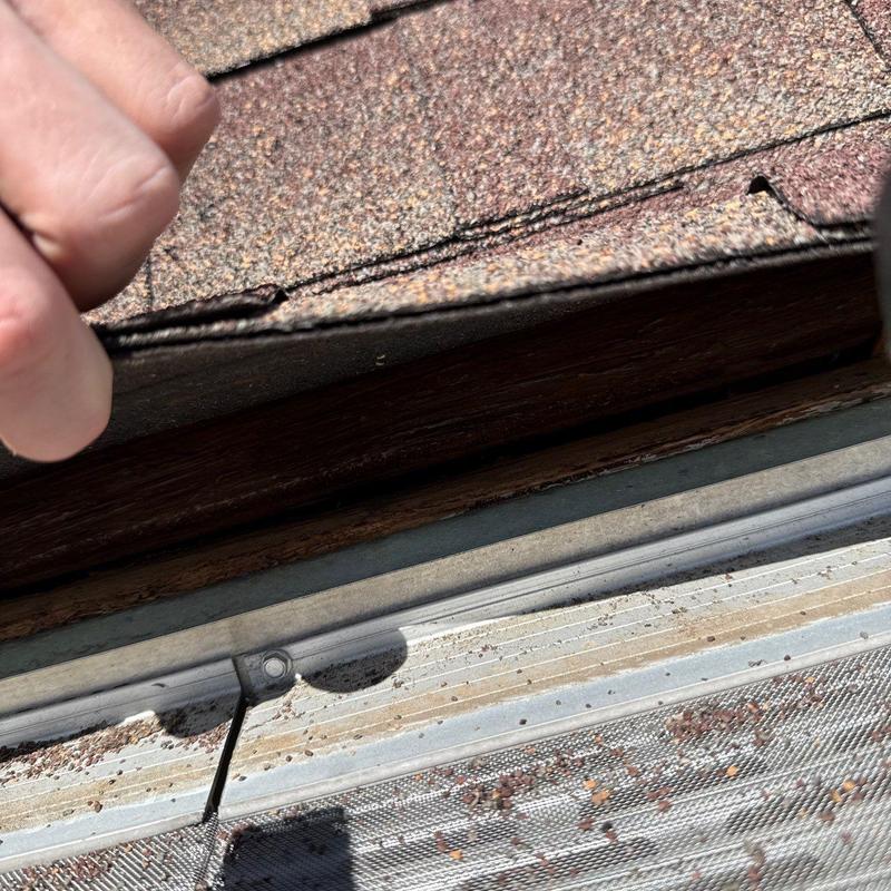 Asphalt shingles lifted showing roof edge and screen dirt