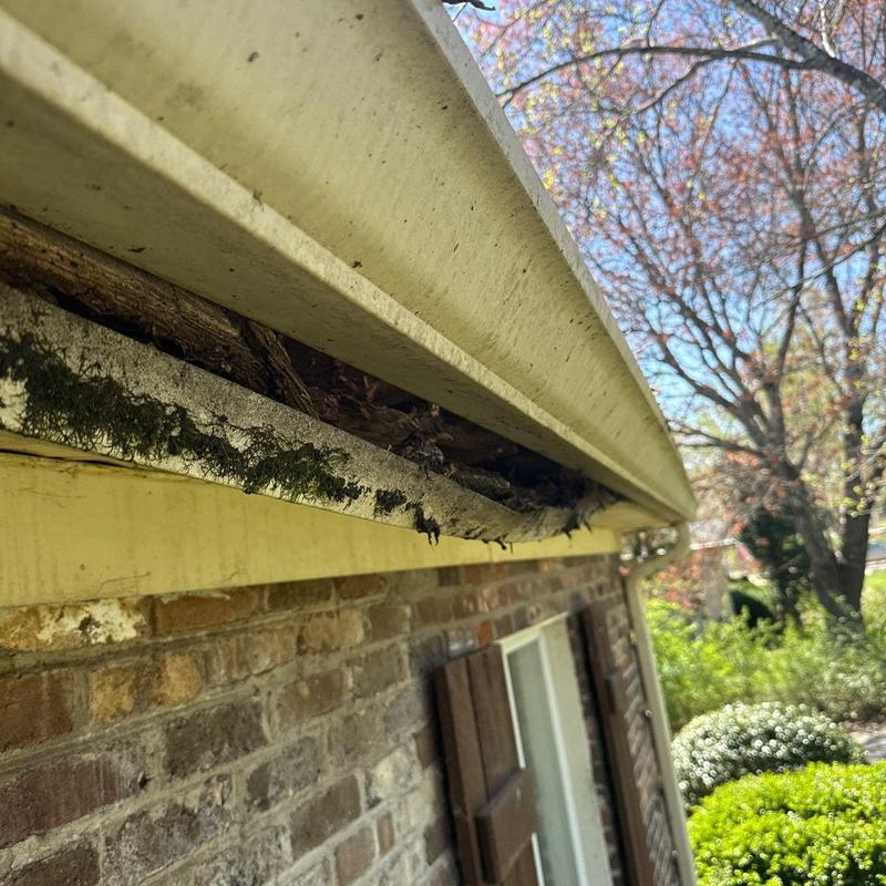 Roof soffit with mold and wood rot damage