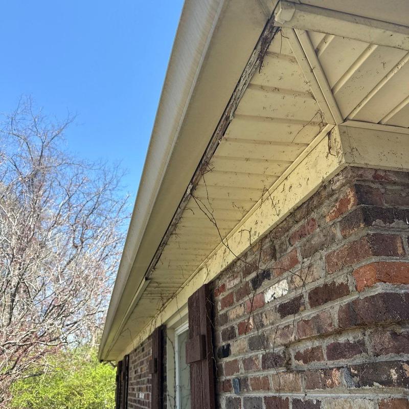 Eavestrough and soffit with dirt and vine growth