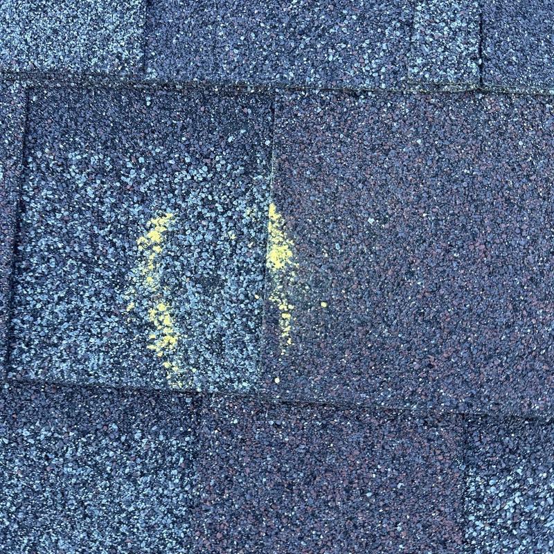 Asphalt roof shingles with marked hail damage