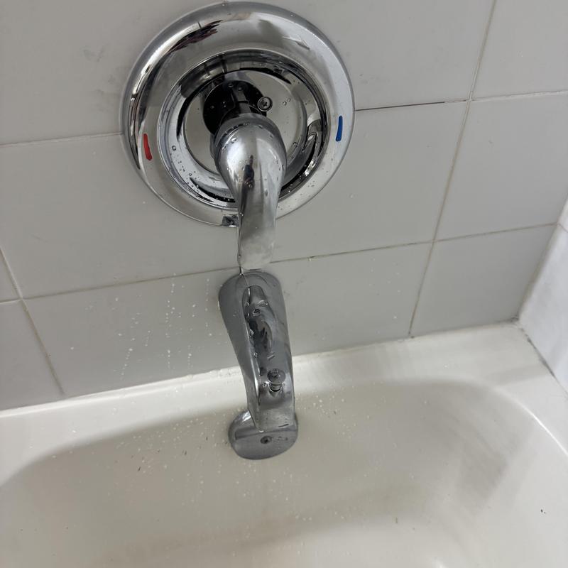 Moen shower valve and bathtub spout with water drips