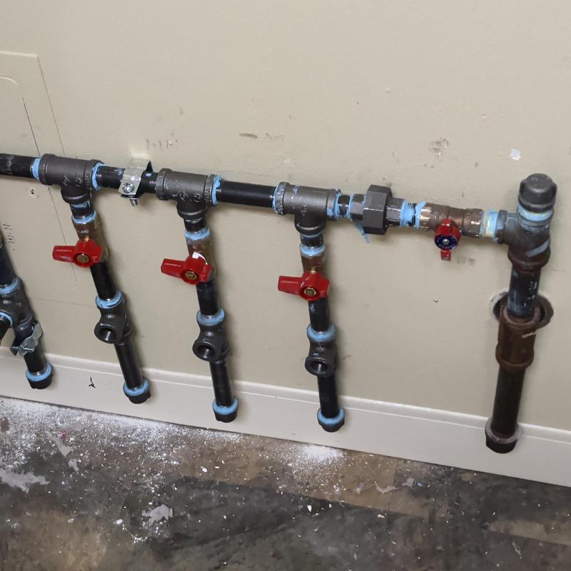 Gas piping manifold with multiple appliance feeds and valves