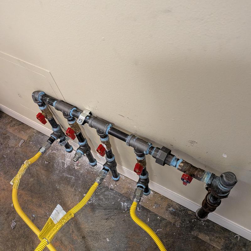 Gas piping manifold with multiple appliance feeds