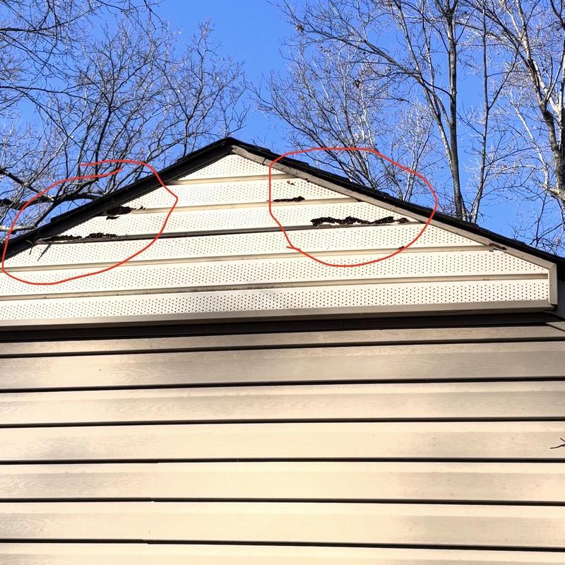 Attic vent with squirrel damage and rotting fascia