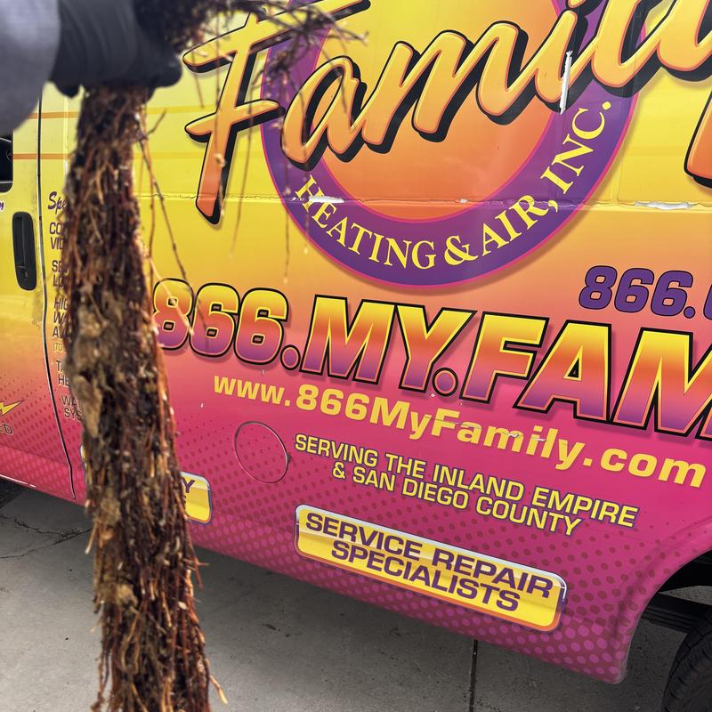 Toilet flange root ball removal near service van