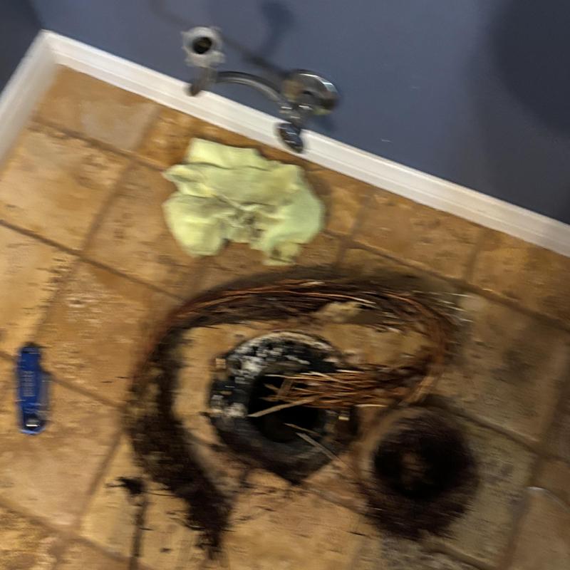 Toilet flange root ball removal on tiled floor