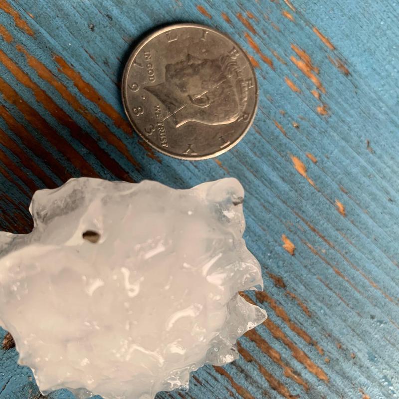 Hailstone next to quarter for size comparison