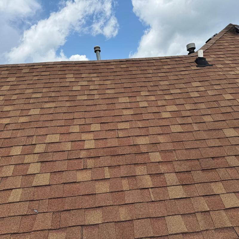 Asphalt shingle roof with vent pipes and clear sky Asphalt shingle roof with vent pipes and clear sky