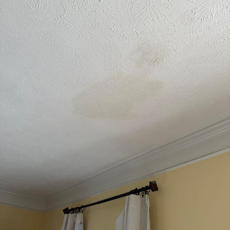 Ceiling water stain from possible roof leak