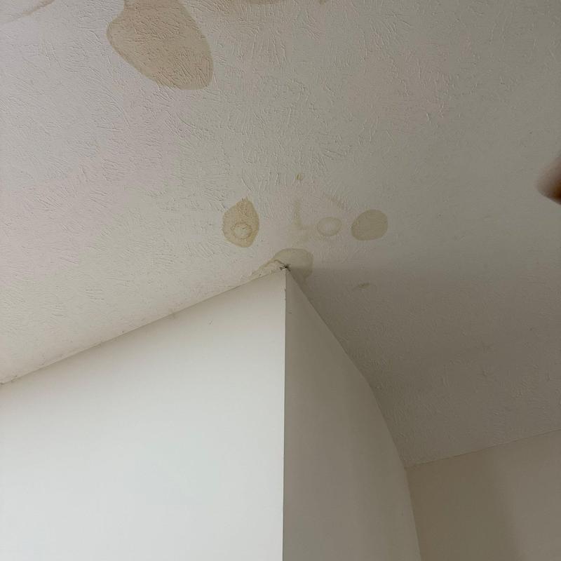 Ceiling water stains and damage near corner wall