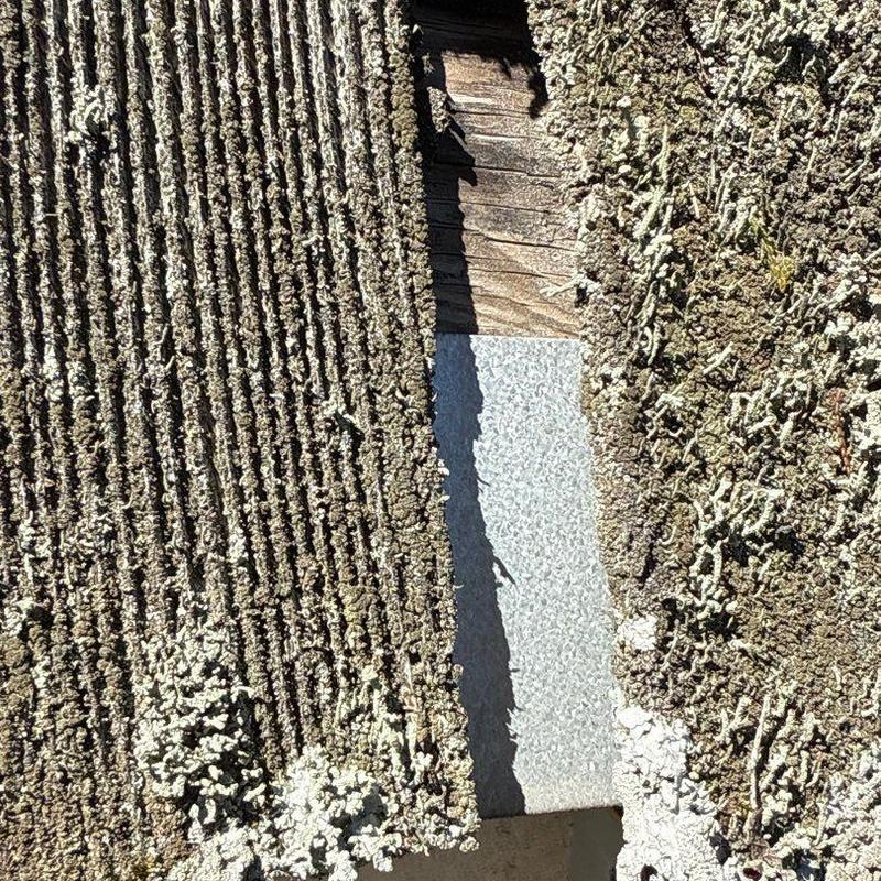 Roof shingles with moss and lichen growth damage