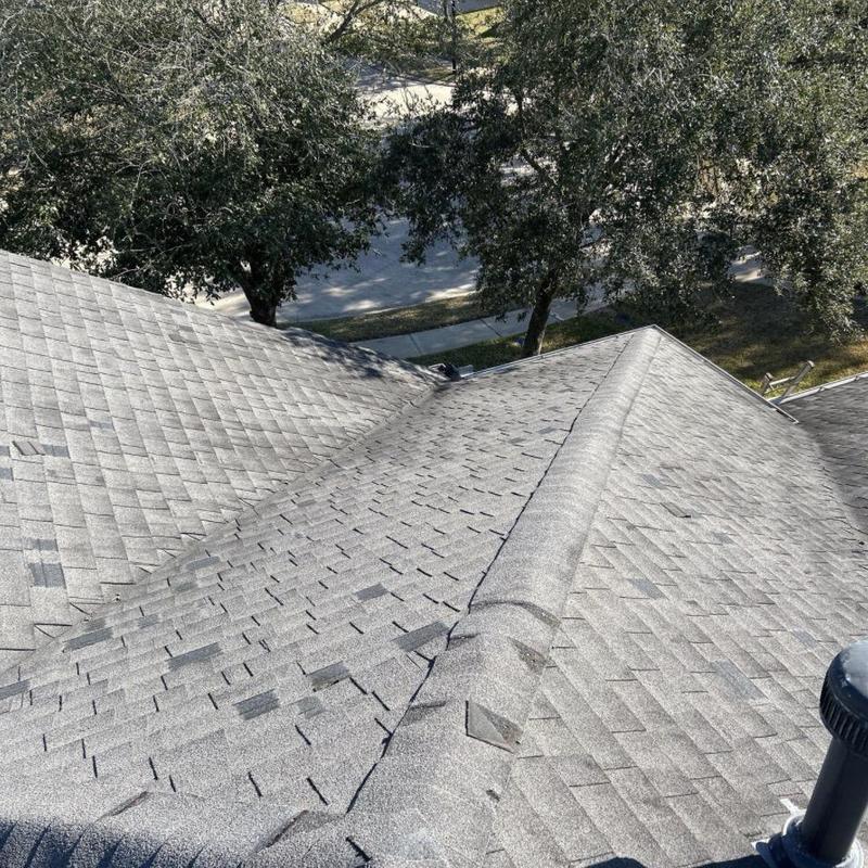 Asphalt shingle roof with lifted and creased shingles