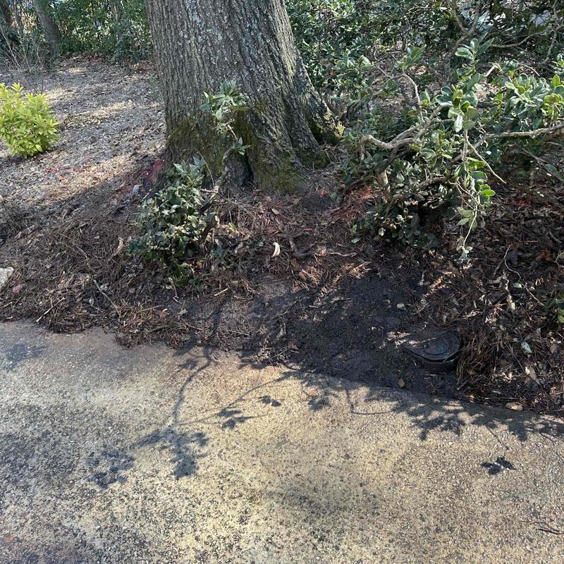 Underground water valve box near tree and driveway Underground water valve box near tree and driveway