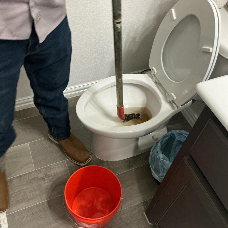 Toilet auger clearing blockage in toilet trap trap Toilet auger clearing blockage in toilet trap trap