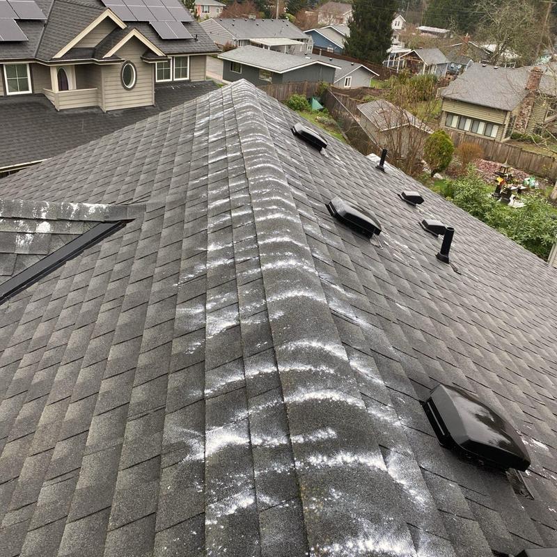 Asphalt shingle roof with moss treatment and cleaning