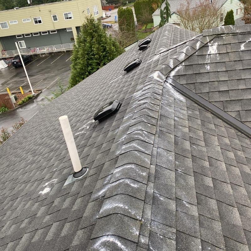 Asphalt shingle roof with moss treatment and vents