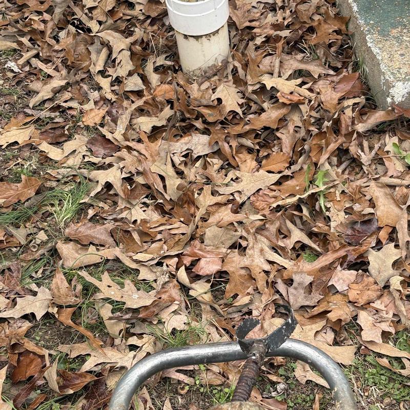 Main drain cable with outdoor plumbing pipe and leaves