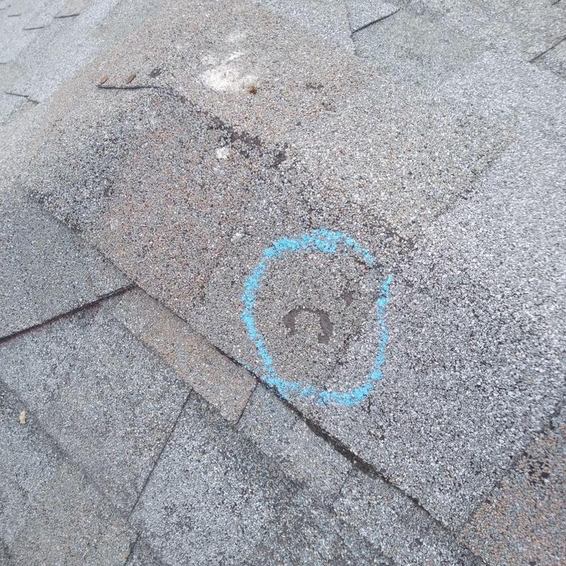 Asphalt shingle roof with hail damage marked in blue Asphalt shingle roof with hail damage marked in blue