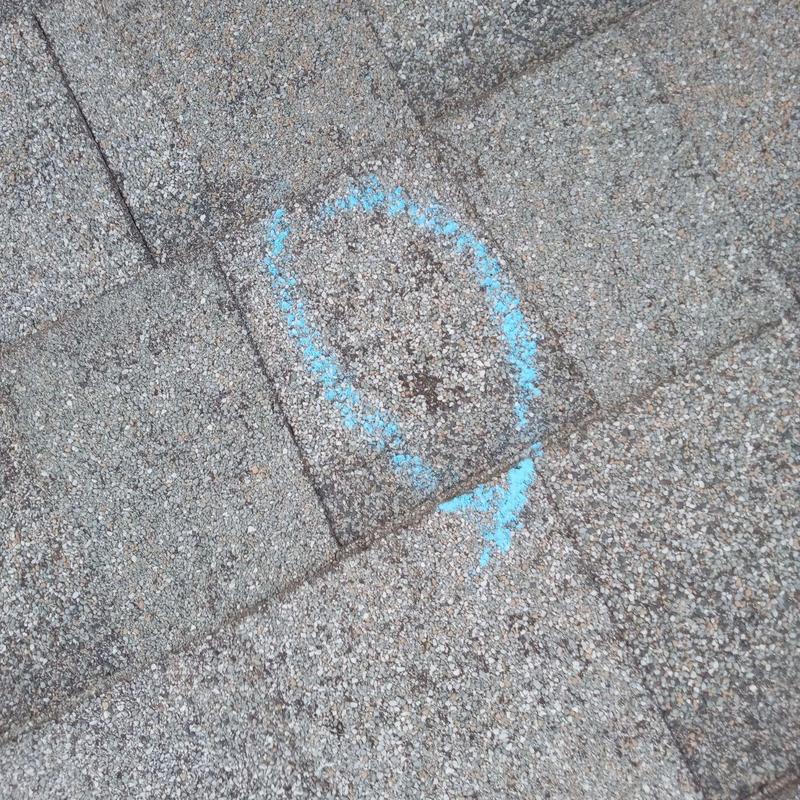 Asphalt roof shingle with hail damage marked in blue Asphalt roof shingle with hail damage marked in blue