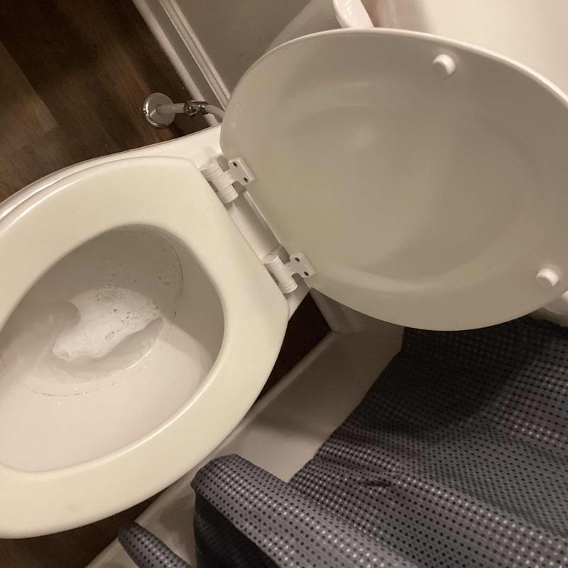 Toilet bowl and seat with supply valve visible