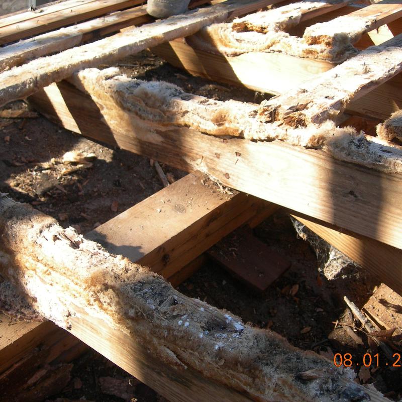 Wooden shake roof framing with damaged insulation removed Wooden shake roof framing with damaged insulation removed