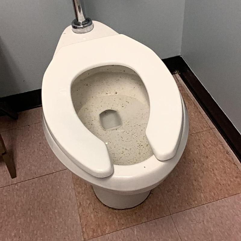 Toilet bowl with lifted seat and open drain line