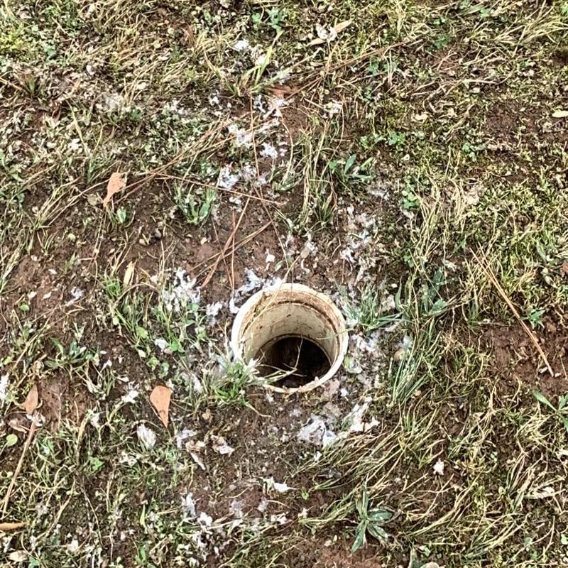 Main sewer line access pipe in grassy yard