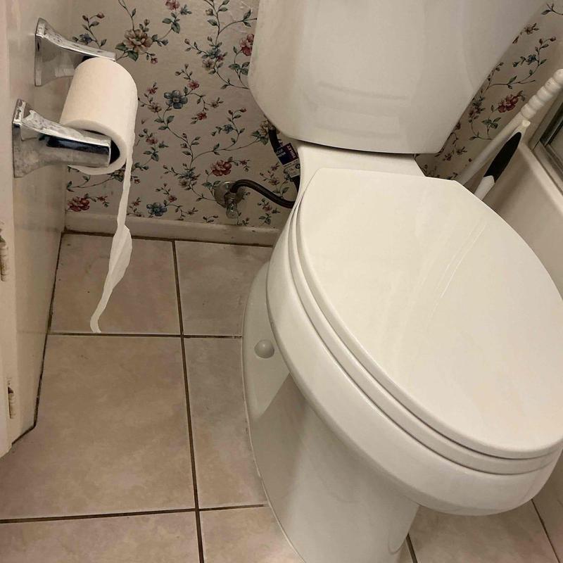 Elongated economy toilet installed in bathroom corner