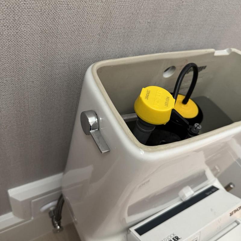 Toilet tank interior with new flush handles installed