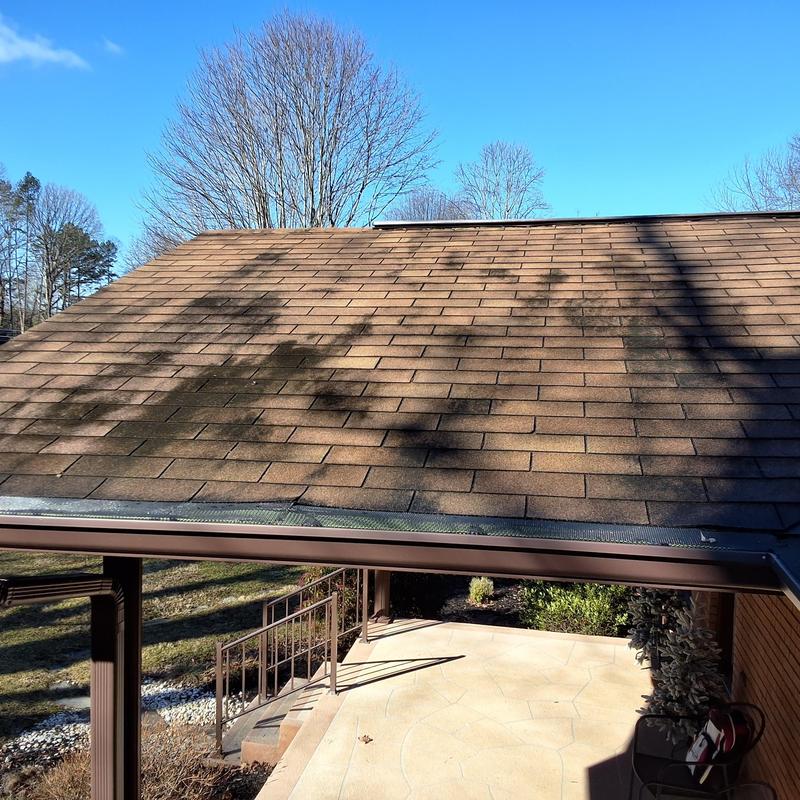 Asphalt shingle roof with dark discoloration in Blountville