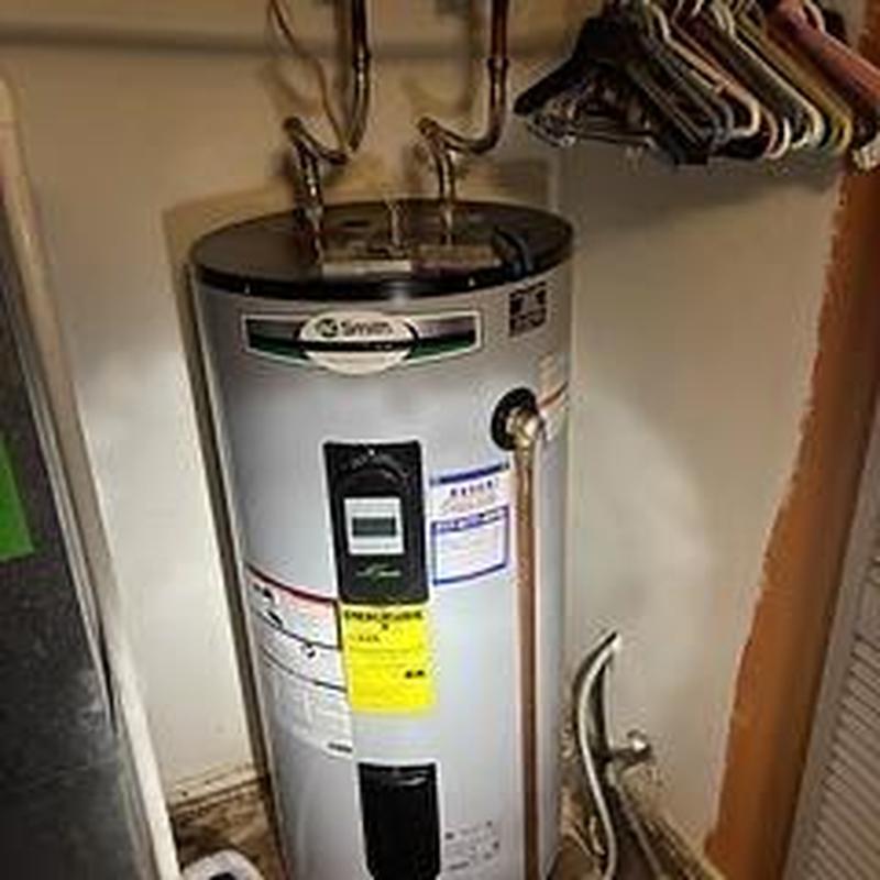 Electric water heater with flushing and valve replacement