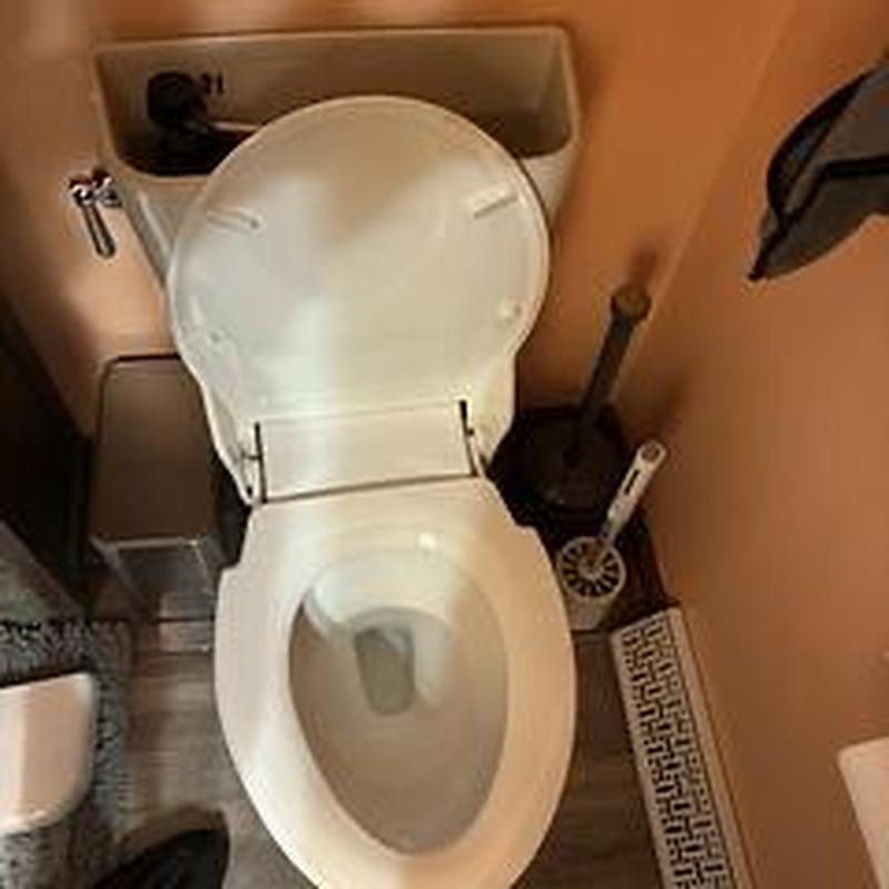 Toilet bowl and tank with open lid in bathroom